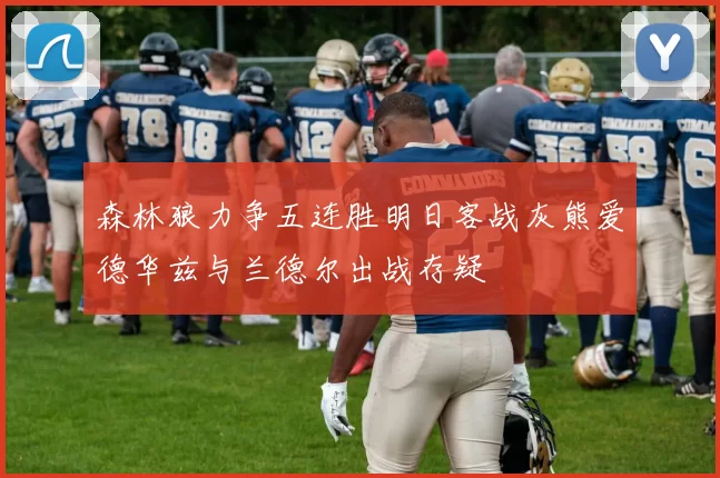 森林狼力争五连胜明日客战灰熊爱德华兹与兰德尔出战存疑